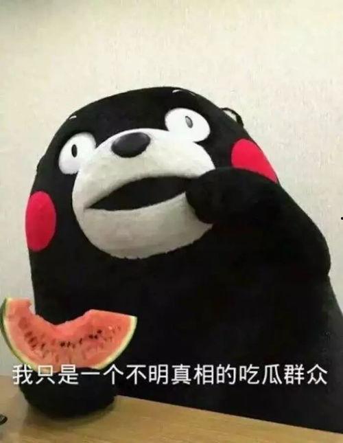 吃瓜群众小哈,揭秘娱乐圈那些事儿