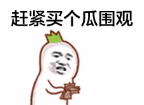 吃瓜群众小哈,揭秘娱乐圈那些事儿