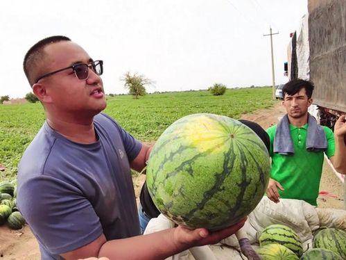 吃瓜发烧友,吃瓜发烧友的独家视角