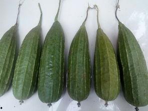 什么叫吃瓜呢,网络时代的围观文化解析