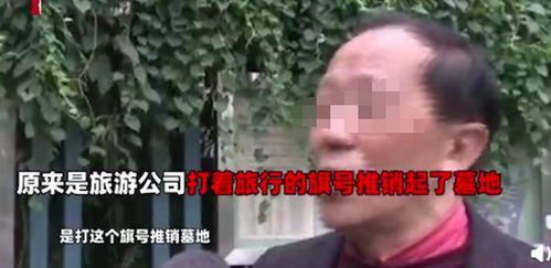 吃瓜郑大爷,揭秘娱乐圈背后的那些事儿