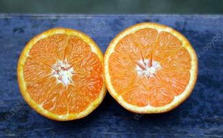 酥瓜和橙子能不能一起吃,美味与营养的完美融合