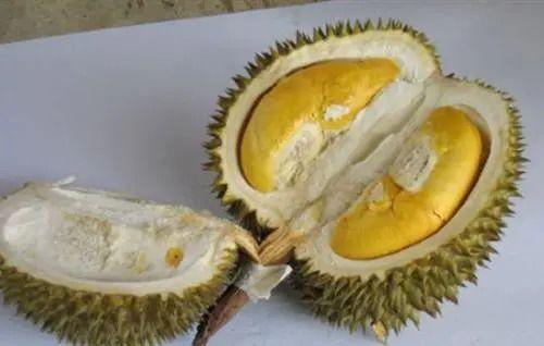 吃榴莲可以吃小白瓜吗,美味搭配的饮食探索