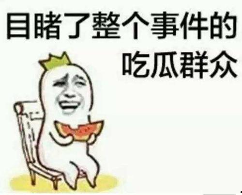 吃瓜群众的书名,揭秘娱乐圈背后的真相