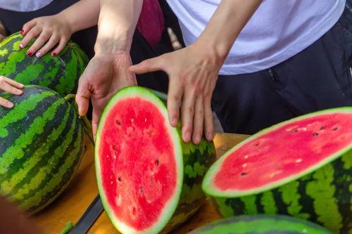 温州学子广场吃瓜,瓜香四溢，青春盛宴