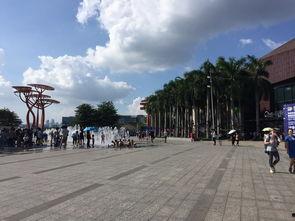 温州学子广场吃瓜,瓜香四溢，青春盛宴