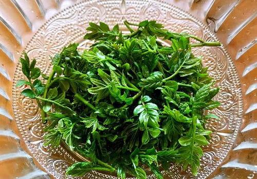 春日沉雪吃瓜,一场别开生面的春日沉雪吃瓜盛宴