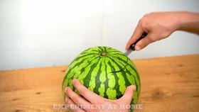 孝义吃瓜视频,揭秘当地特色美食背后的感人故事