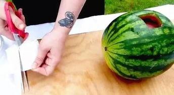 文安吃瓜原始视频,一场网络狂欢背后的真相