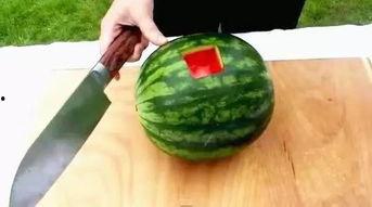 文安吃瓜原始视频,一场网络狂欢背后的真相