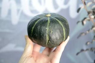 抖音巧儿吃瓜,揭秘娱乐圈幕后故事，带你领略网络红人的魅力