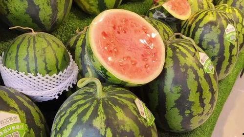 吃瓜天天爽,天天爽的瓜界盛宴