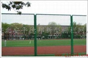 操场护栏吃瓜,揭秘校园里的热点事件