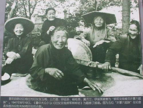 沂蒙吃瓜事件始末,一场网络舆论的风波与反思