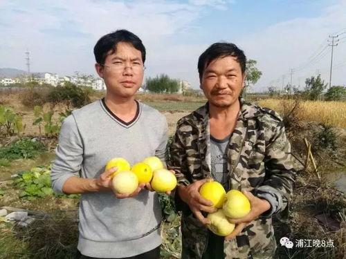 吃瓜群众洛川,揭秘娱乐圈幕后风云