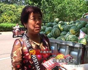 吃瓜群众洛川,揭秘娱乐圈幕后风云