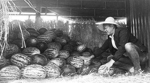 吃瓜群众洛川,揭秘娱乐圈幕后风云