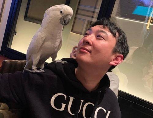 吃瓜事件曝光最新,真相揭露，网络舆论如何左右人生？