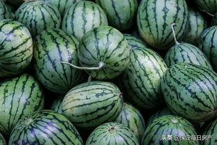 瓜清凉吃西瓜,尽享西瓜美味时光