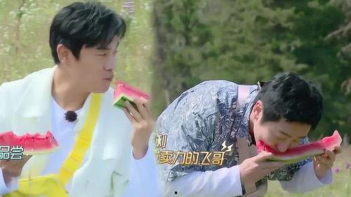 吃瓜秦外,一场网络热词背后的文化现象