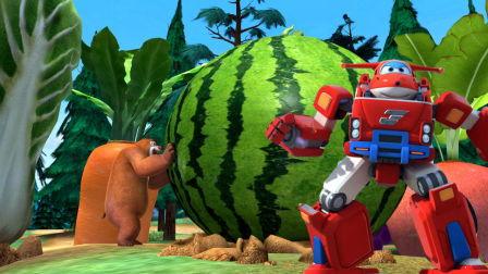 韩国熊吃瓜,揭秘网络红人现象背后的故事