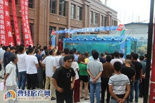 曹县售楼部吃瓜,一场引发热议的售楼风波