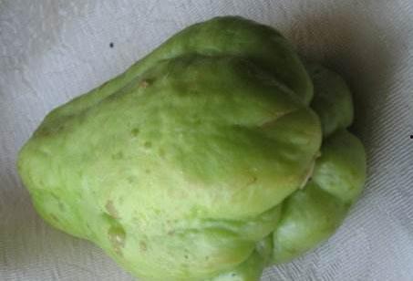 佛瓜可以常吃吗,家常菜中的养生佳品，可常吃的健康选择