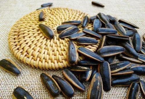 什么瓜只吃瓜子,揭秘“只吃瓜子”的神奇瓜种之谜