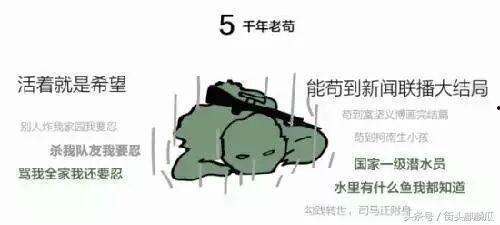 瓜哥带你吃瓜重庆路线,一场味蕾与历史的深度之旅