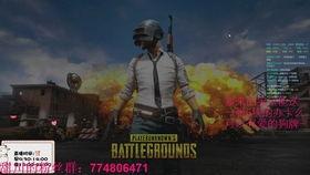 瓜大亨吃鸡,一场舌尖上的冒险之旅