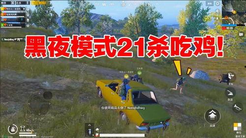 瓜大亨吃鸡,一场舌尖上的冒险之旅