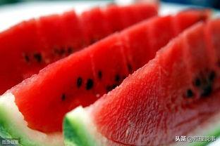 我在美国吃瓜,揭秘美国社会热点事件背后的真相