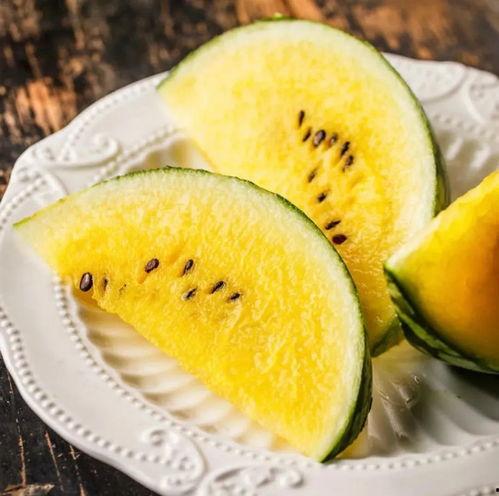 毛毯吃瓜,揭秘毛毯吃瓜的趣味生活