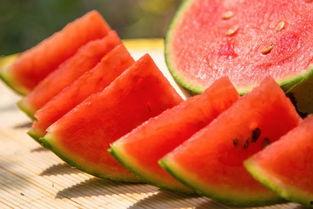 毛毯吃瓜,揭秘毛毯吃瓜的趣味生活