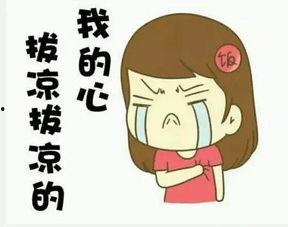 我到你家吃瓜,一场别开生面的“吃瓜”盛宴