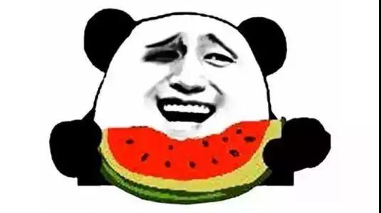 吃瓜圈vIog,带你领略短视频时代的趣味生活