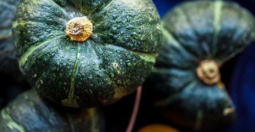 吃瓜后的真实生活,揭秘网络舆论背后的喜怒哀乐