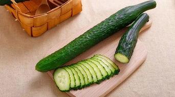 吃蟑螂的瓜,揭秘吃蟑螂的瓜背后的文化现象