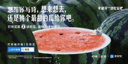 吃瓜就是要清凉,畅享夏日清凉生活