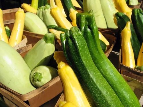 瓜王带你吃瓜,瓜王带你领略娱乐圈的甜蜜与苦涩