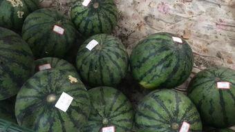 郑州工商 吃瓜,吃瓜群众揭秘幕后真相