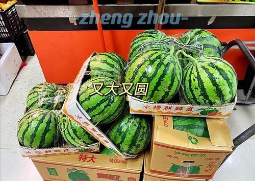 郑州工商 吃瓜,吃瓜群众揭秘幕后真相