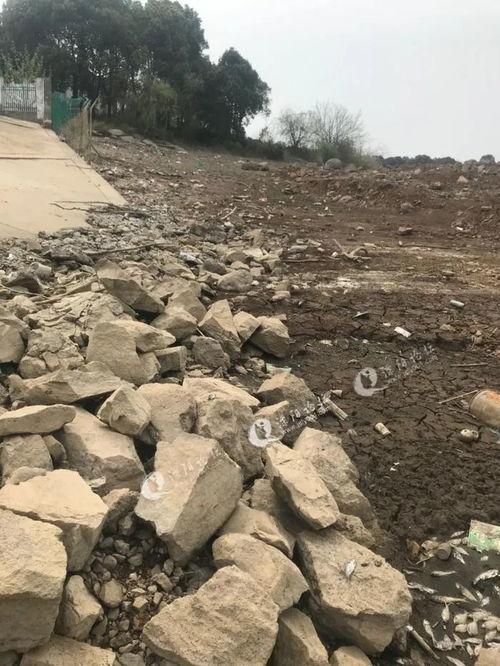 神女湖吃瓜,一场吃瓜盛宴背后的故事