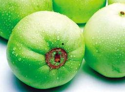 哪里有瓜吃啊,揭秘“哪里有瓜吃”的秘密乐园