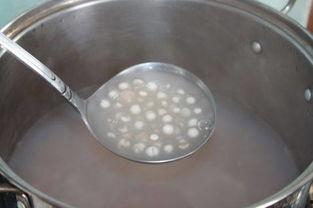 西米瓜怎么吃,从经典甜品到创意料理