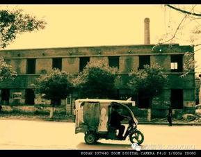 濮阳老城吃瓜,夏日吃瓜盛宴，探寻古韵市井风情