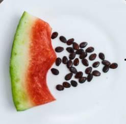 什么瓜专门吃籽