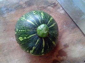 梦见吃嫩瓜,揭秘梦见吃嫩瓜的神秘寓意