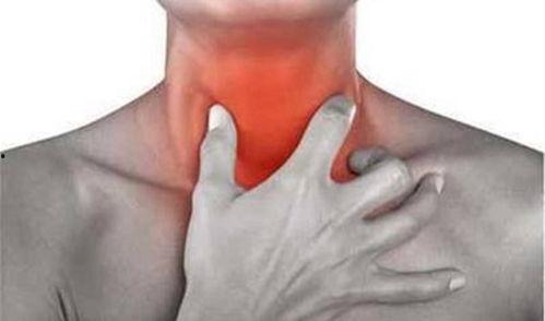 灵宝吃瓜喉咙疼,揭秘瓜果美食背后的健康隐患