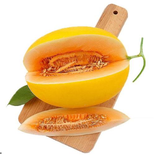 吃蜜瓜声控韩国,韩国流行文化中的甜蜜诱惑